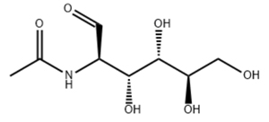 N-Acetyl-D-Glucosamine
