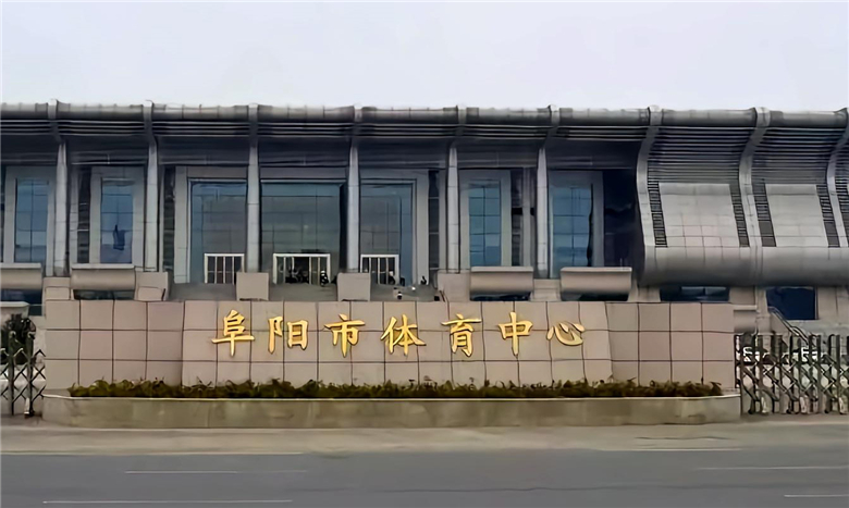 Yuchai YC12 Series Engine (11)