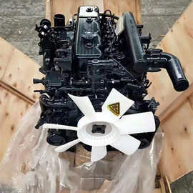 Yunnei 2 Series Engine (1)