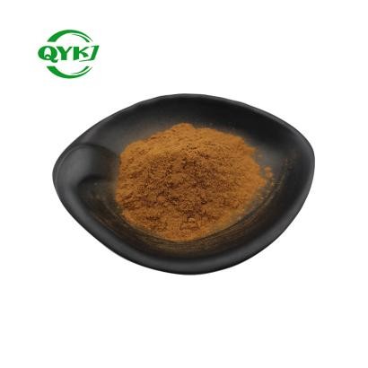 100% Natural Plant Cinnamon Extract Powder
