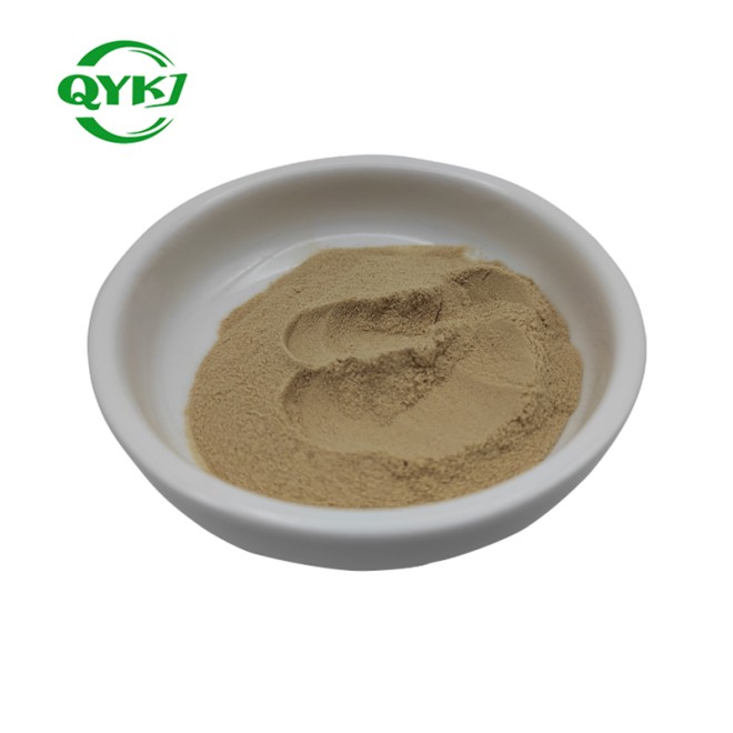 Factory Supply High Quality Ginseng Root Extract Powder