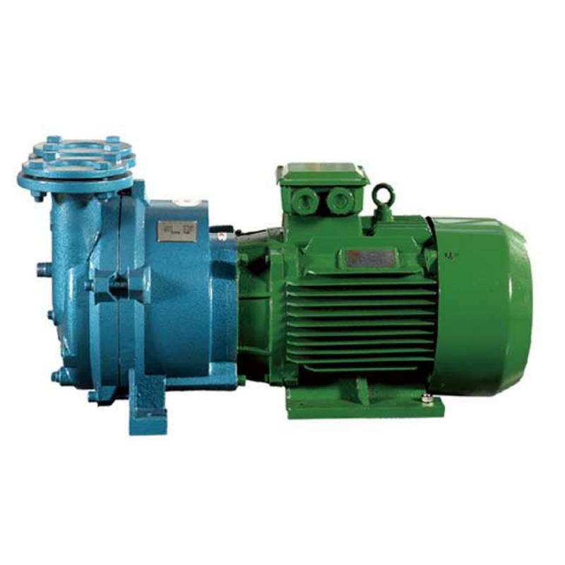Heavy-Duty 2BV 2BE 202 Water Ring Vacuum Pump for High-Capacity Brick Production Lines