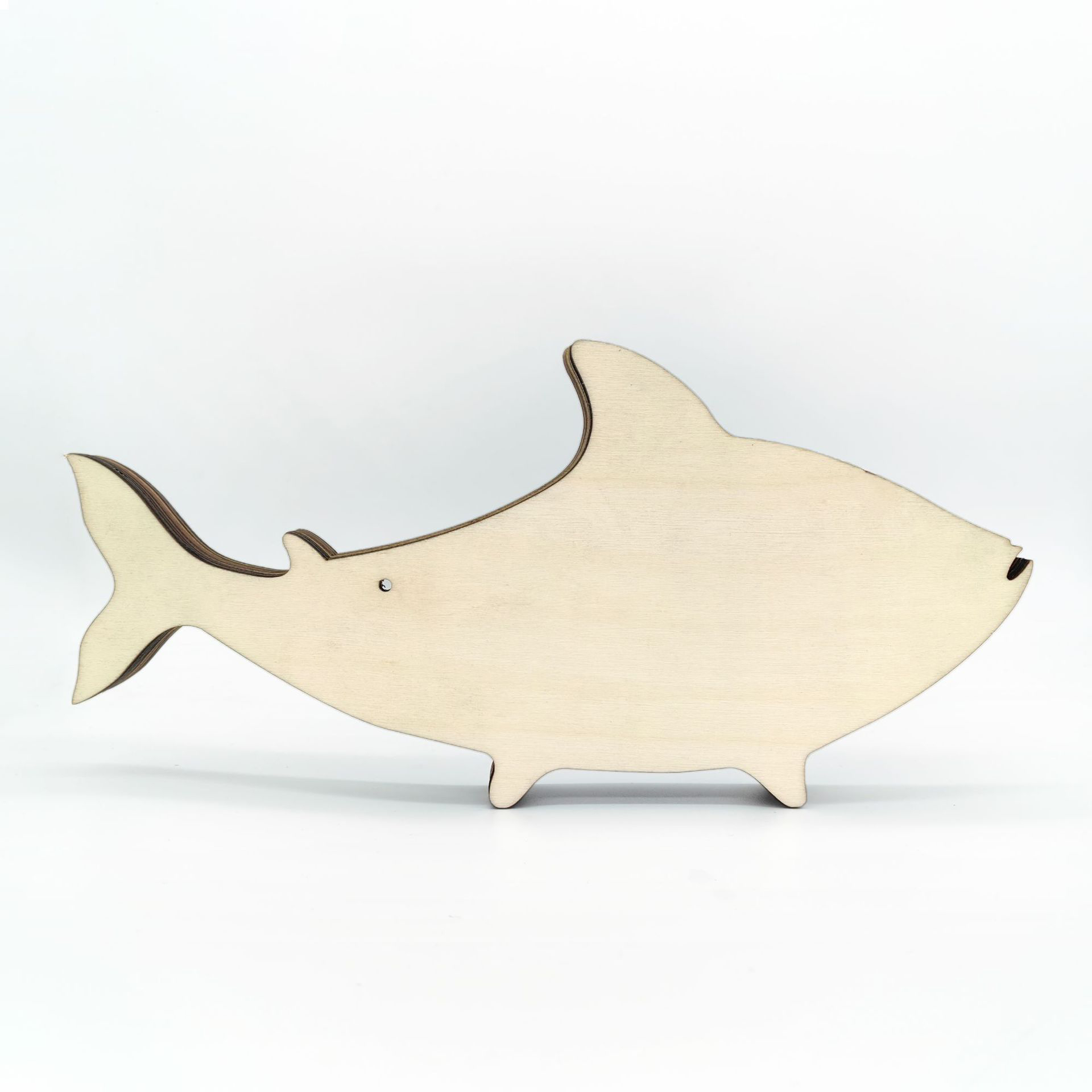 Fish Outline Creative Structural Design