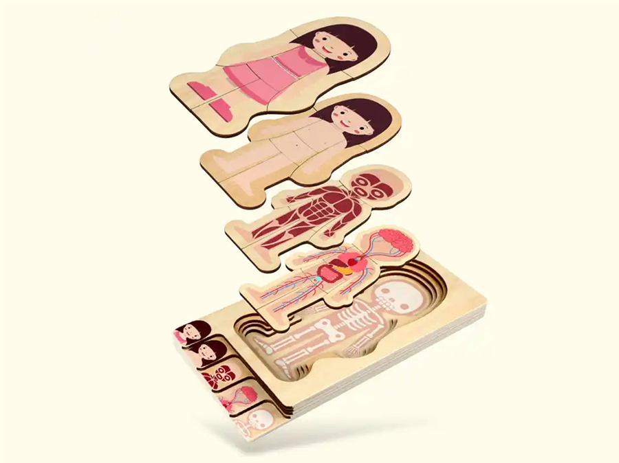Global Green Consumption Trend: The New Era of the Wooden Puzzle Toy Industry