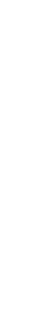 bg-name