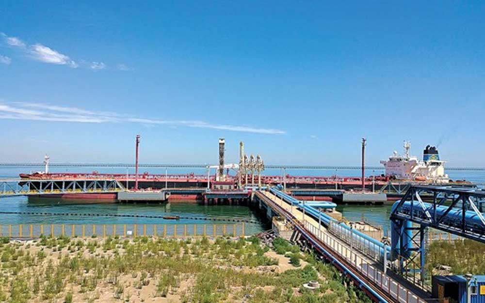 Petrochemical-Project1.jpg