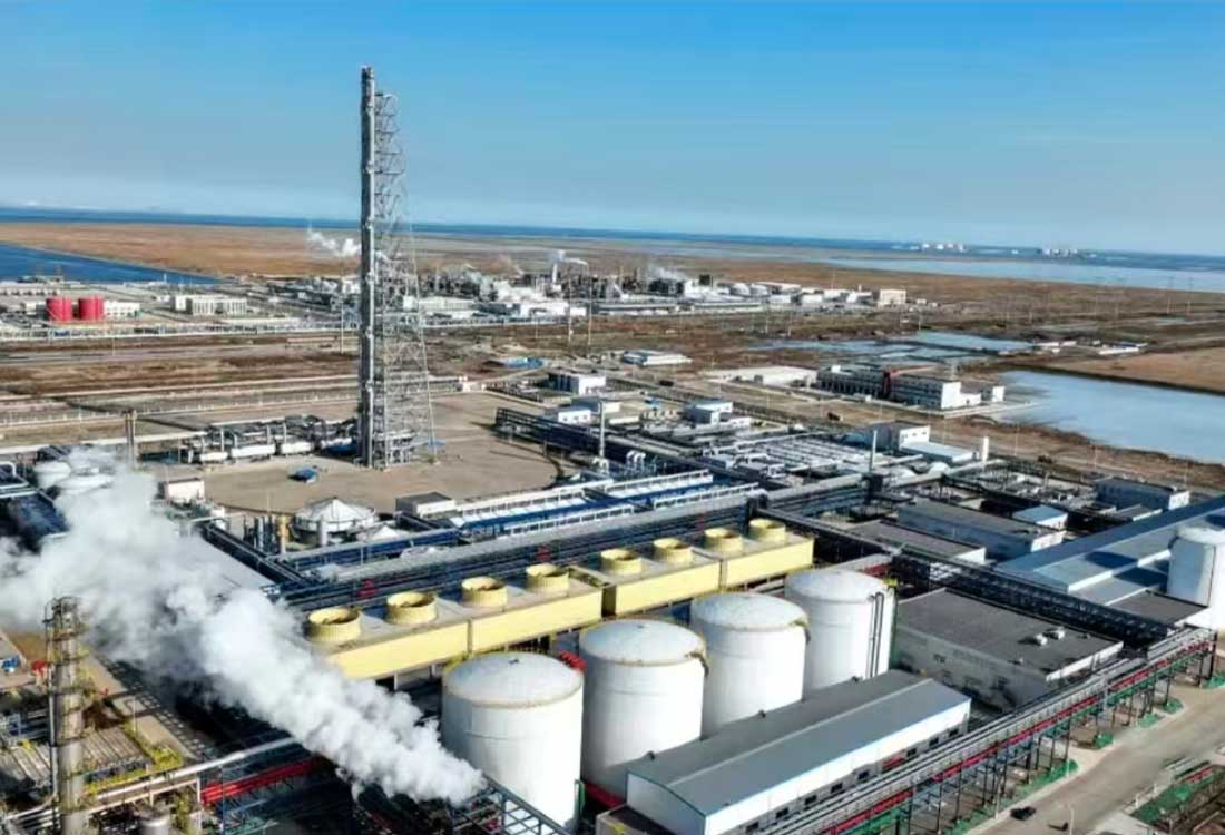Petrokimya Projesi 4