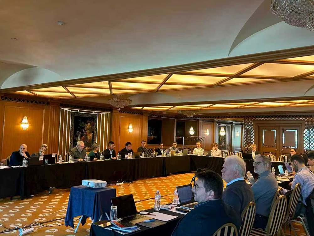 IEC SC37A'da Profesyonel Tanınma: Xiamen Taihang, Küresel Ölçekte Aşırı Gerilim Koruma Teknolojisini Geliştiriyor