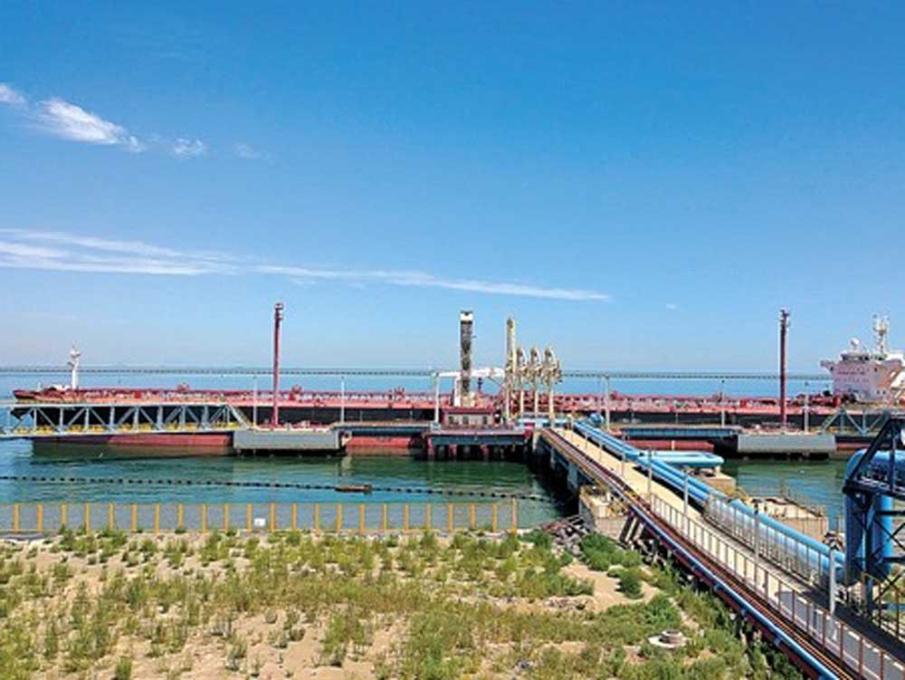 Tianjin Shihua Petrochemical Project: Surge Protection for Critical 220VAC Circuits