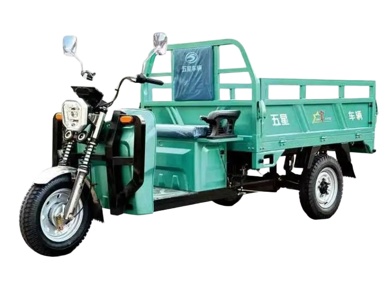 Three wheeled electric vehicles EH30