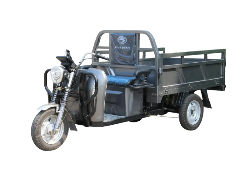 three-wheeled-electric-vehicles-wx800dzh-17.png