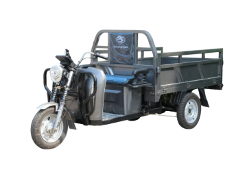 Three wheeled electric vehicles WX800DZH-17