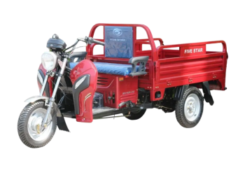 Three wheeled motorcycle WX110ZH-21D
