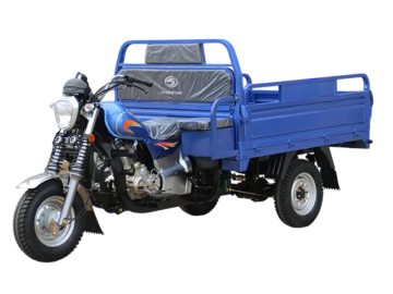 Paris Delivery Trike WX150ZH-21D