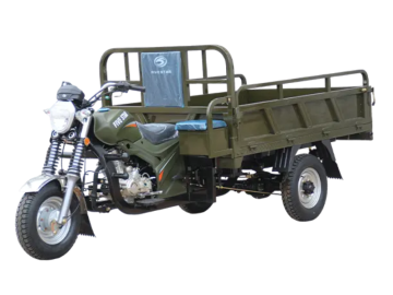 Three wheeled motorcycle WX200ZH-35D