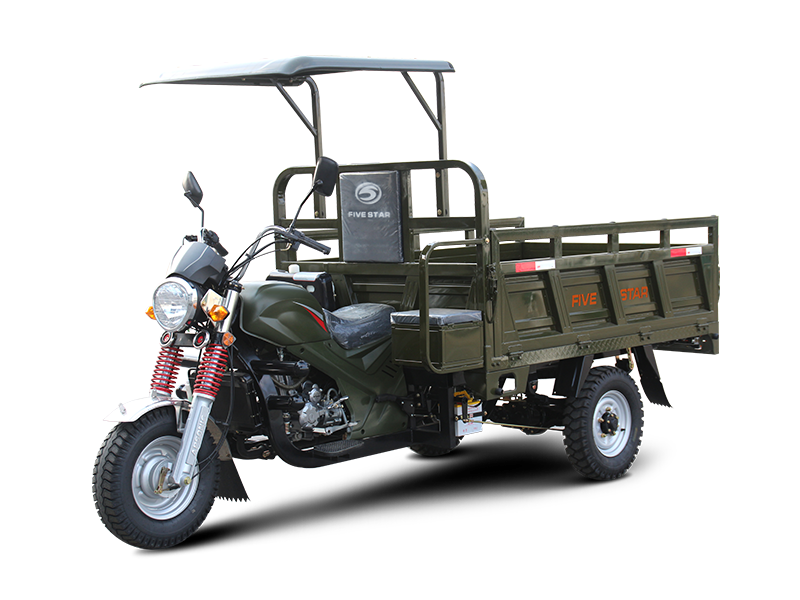 Three wheeled motorcycle WX200ZH-40E