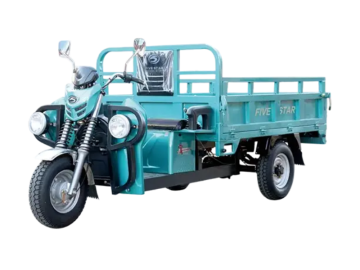 Three wheeled electric vehicles WX2200DZH-29
