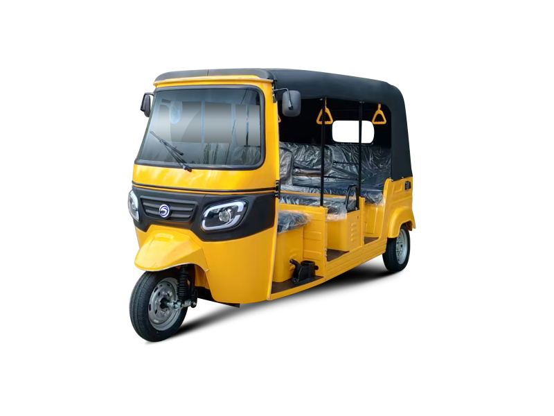 Three wheeled electric vehicles WX2500DZH-1