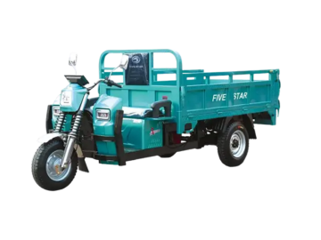 Three wheeled electric vehicles WX2500DZH-39