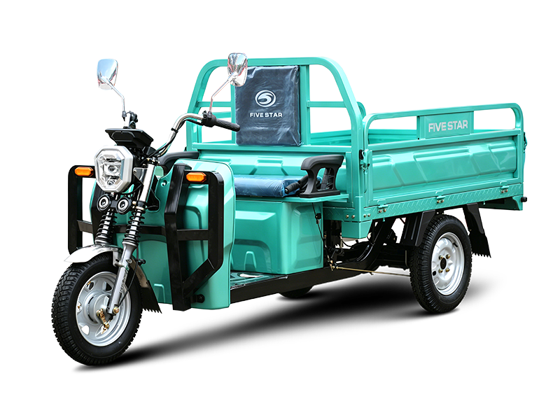 Three wheeled electric vehicles WX1000DZH-12