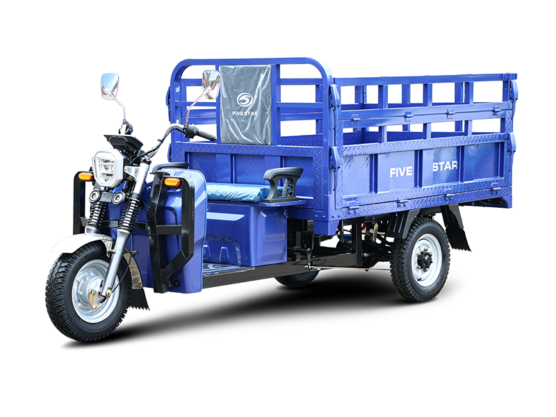 Three wheeled electric vehicles WX1500DZH-22
