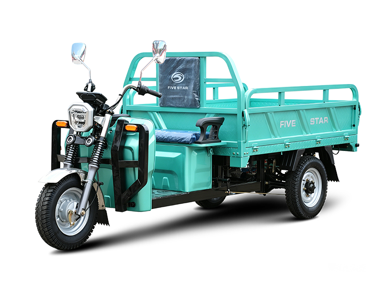 Three wheeled electric vehicles WX1500DZH-22
