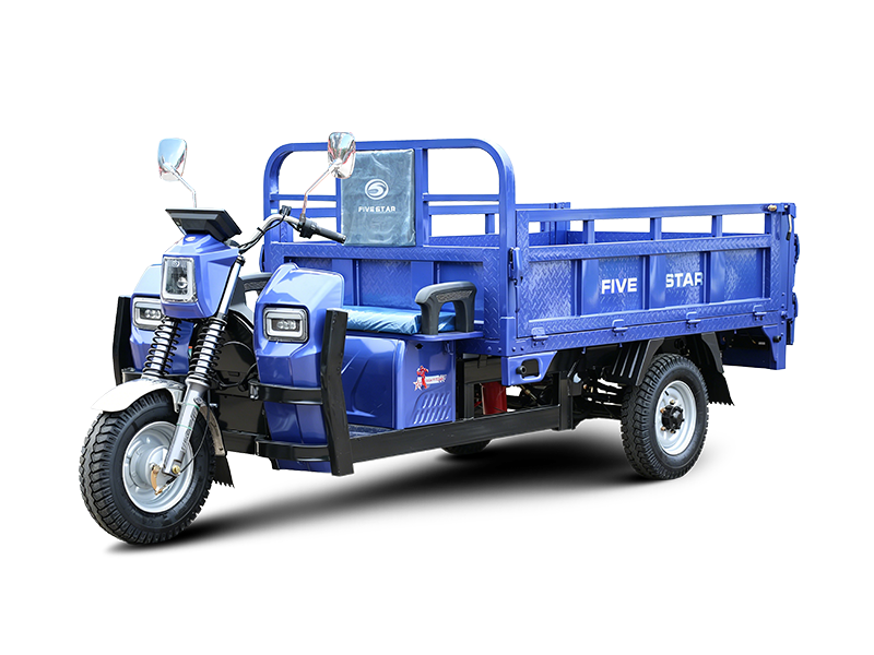 Three wheeled electric vehicles WX2200DZH-15