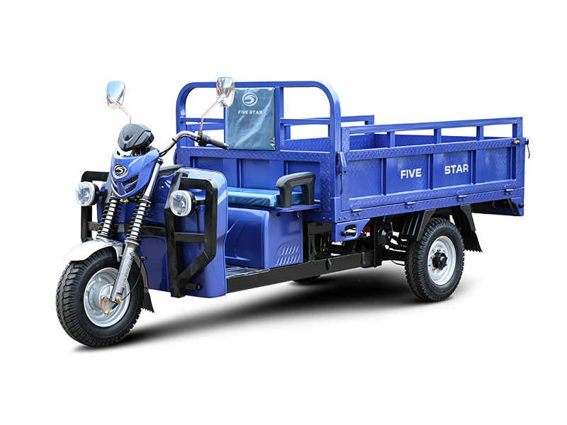 Three wheeled electric vehicles WX2200DZH-2
