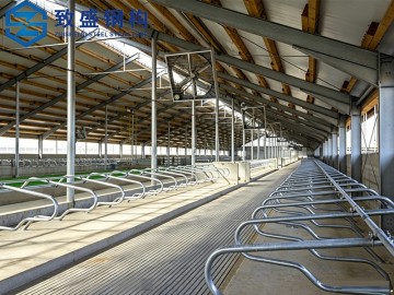 Biosecure Steel Poultry Farm High-Density Chicken House Solution