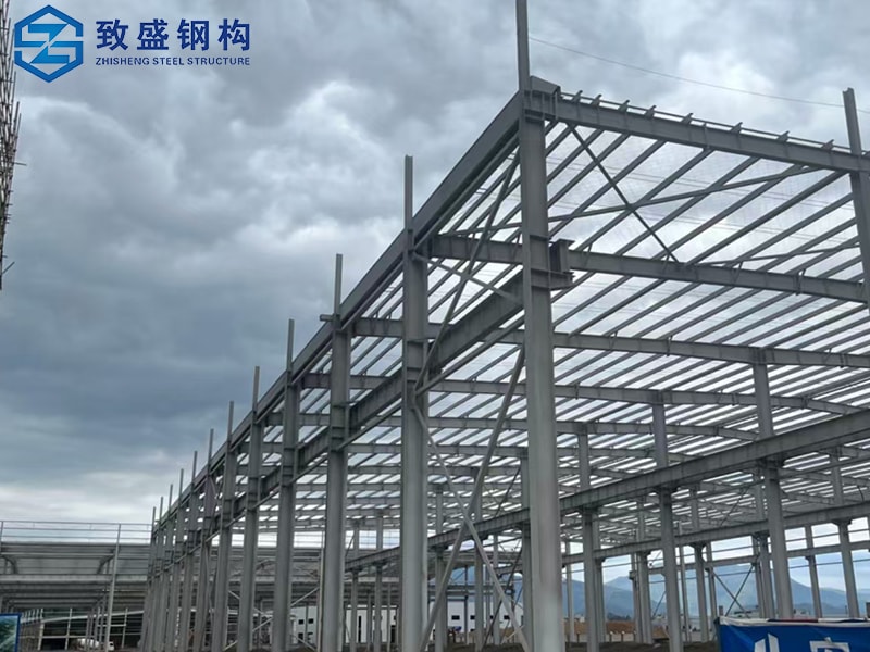 Prefabricated Steel Structure Building Plant Factory Warehouses fabrication