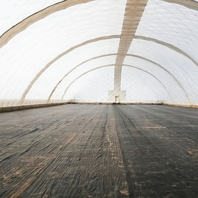 Inside agricultural air-supported film.jpg