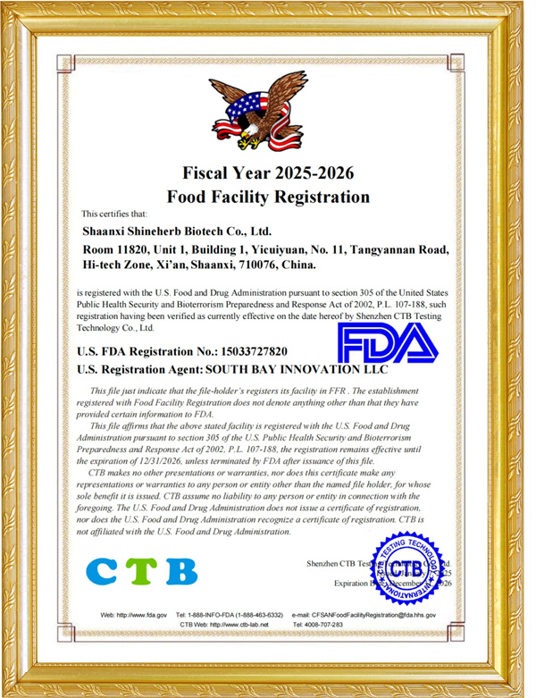 certificado02