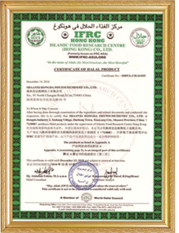 certificado04