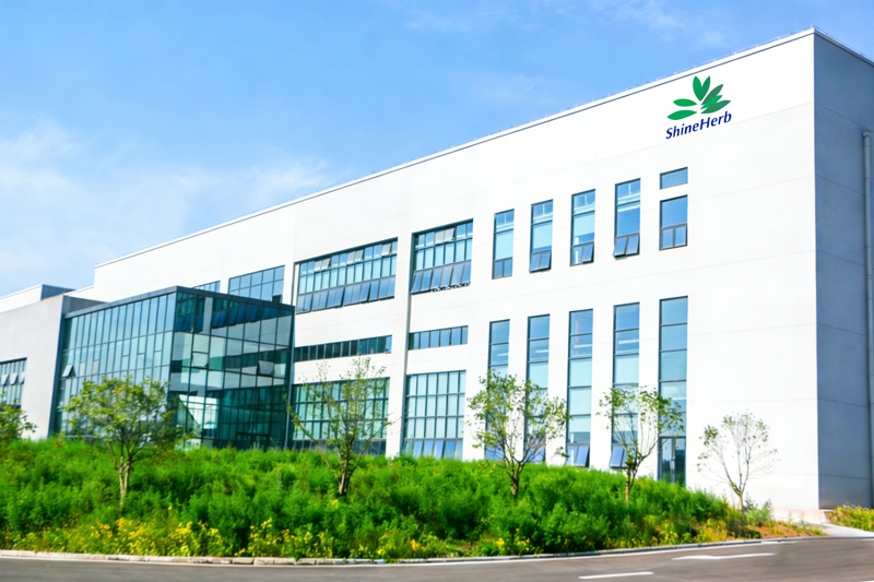 Exterior corporativo1