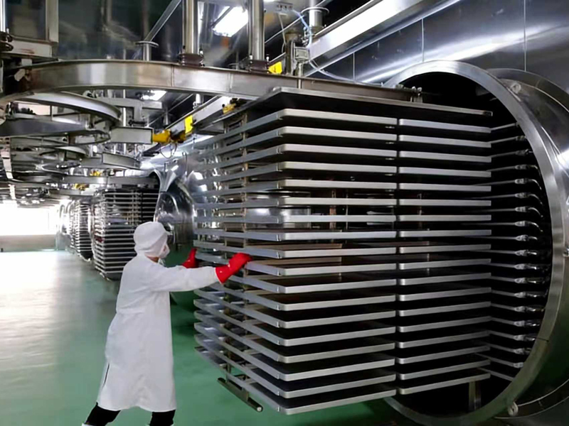 Taller de producción de bromelina 3