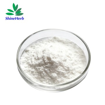 丝氨肽酶碱性蛋白酶粉 - 2200 SPu/mg - 中国供应商及工厂出品，品质优良