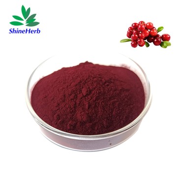 Cranberry Extract Powder 25% Anthocyanins Factory Wholesale Price