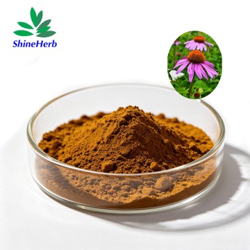 Echinacea Extract 100% Pure Natural Plant Extract