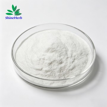 L-Arginine Powder Supplier High Purity Amino Acid for Health Supplements