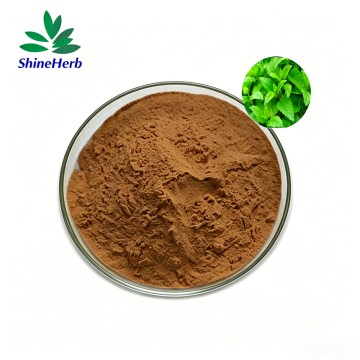 Lemon Balm Extract powder/ Melissa Extract Factory price