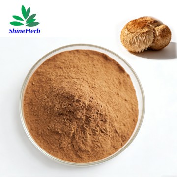 Lion's Mane Mushroom Extract Polysaccharides 30% Hericium Erinaceus Extract Natural Dietary Supplement