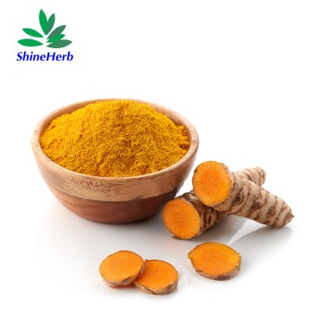 Liposomales Curcumin-Pulver, natürliches Curcumin als Nahrungsergänzungsmittel
