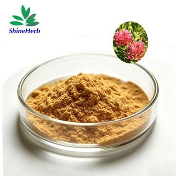Rhodiola Rosea Extract High quality Salidroside & Rosavins supplier
