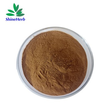 Eurycoma Longifolia Extract Supplier Tongkat Ali Extract benefits for men