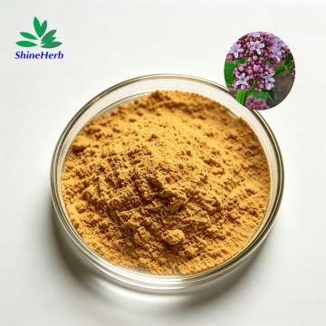 Valerian Extract Valeric Acid 0.8% Factory supply