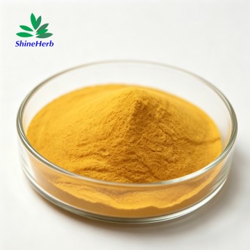 Vitamin B2 Riboflavin Factory Supplies CAS 83-88-5 Bulk supply