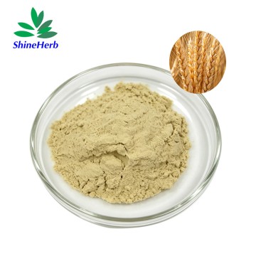 Wheat Germ Extract Spermidine Skin Care