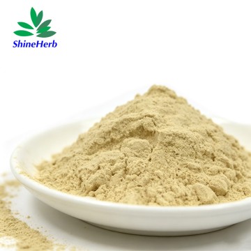 High Quality Palmatine CAS 3486-67-7 Food Supplement