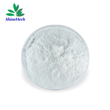 Anti-Aging Raw Material Akk Intestinal Probiotics Akkermansia Muciniphila