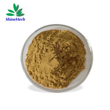 Natural Chasteberry Extract Vitex Agnus-Castus Extract for women's health